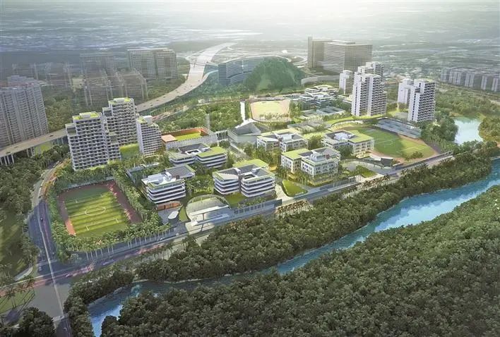 教育大礼包来了深圳今年将新增基础教育学位20万个5所大学学分互认