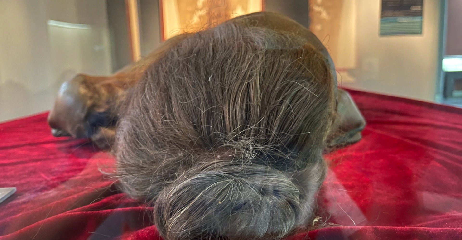 唐朝边防军干尸,皮肤还有弹性,头部多处伤痕,生前经历令人心疼