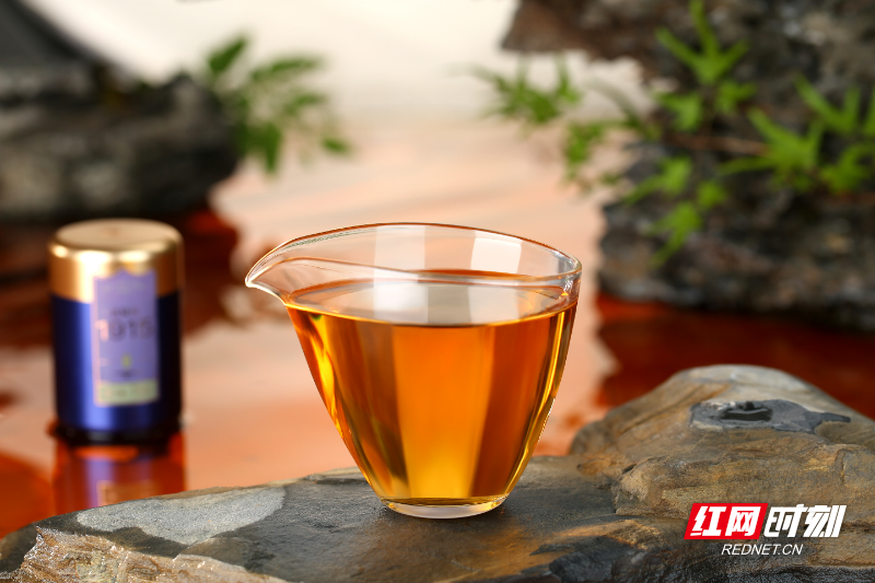 喝茶有讲究,做茶不将就!武陵红做好"茶文章"亮相红茶文化节!