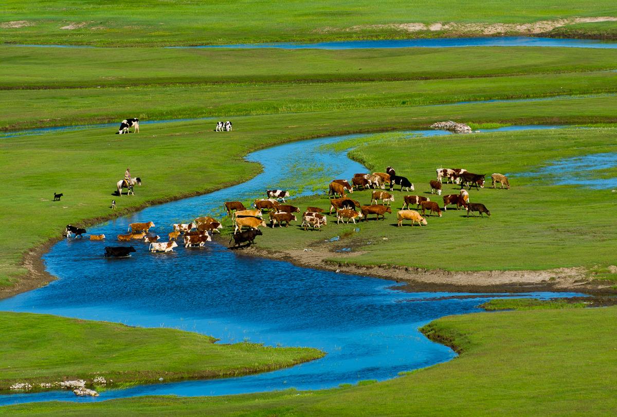 哈敦牧场风干牛肉,产自内蒙古科尔沁草原腹地北纬45度天然放牧区