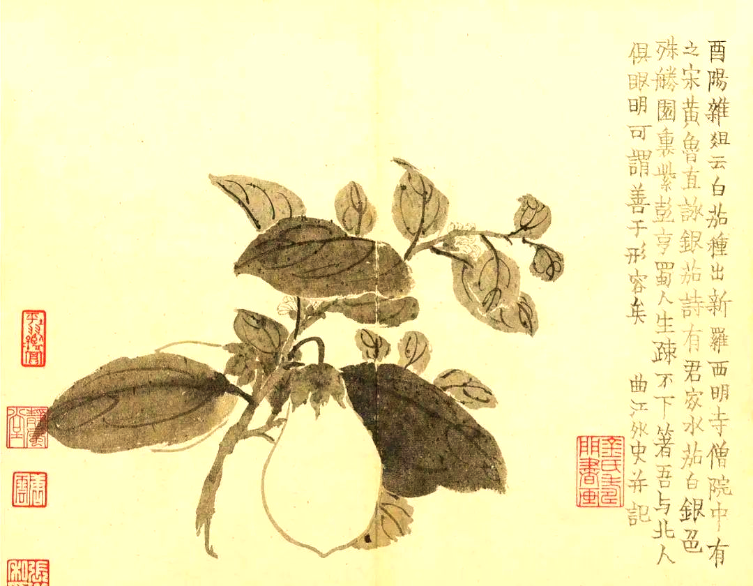 金农画作中的诗意世界:杂花与人物山水图册