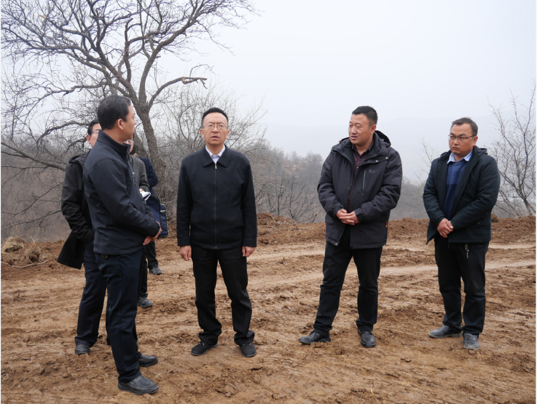 「要闻」杨聪督查全县项目建设和相关企业生产经营情况