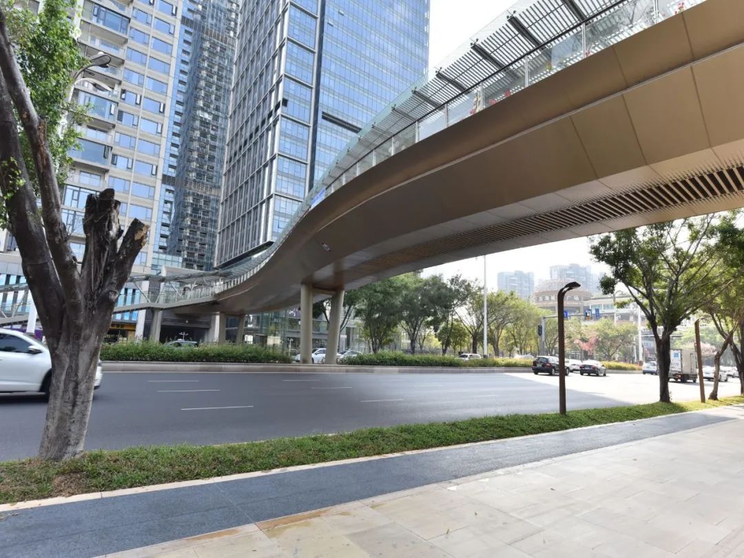 香蜜湖公园天桥:自然与城市的一道风景