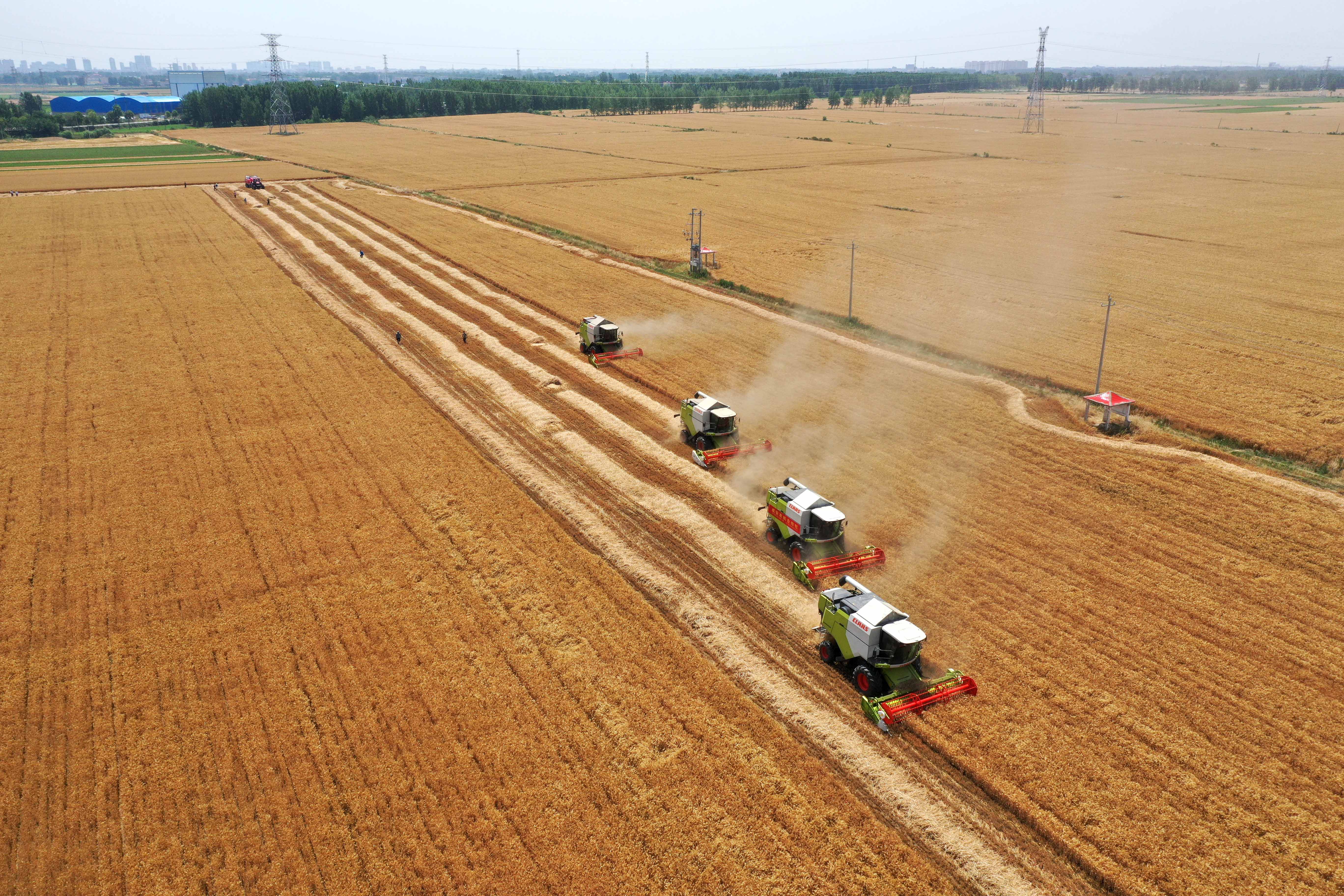 颗粒归仓为何难实现?我国粮食收割环节损失惊人