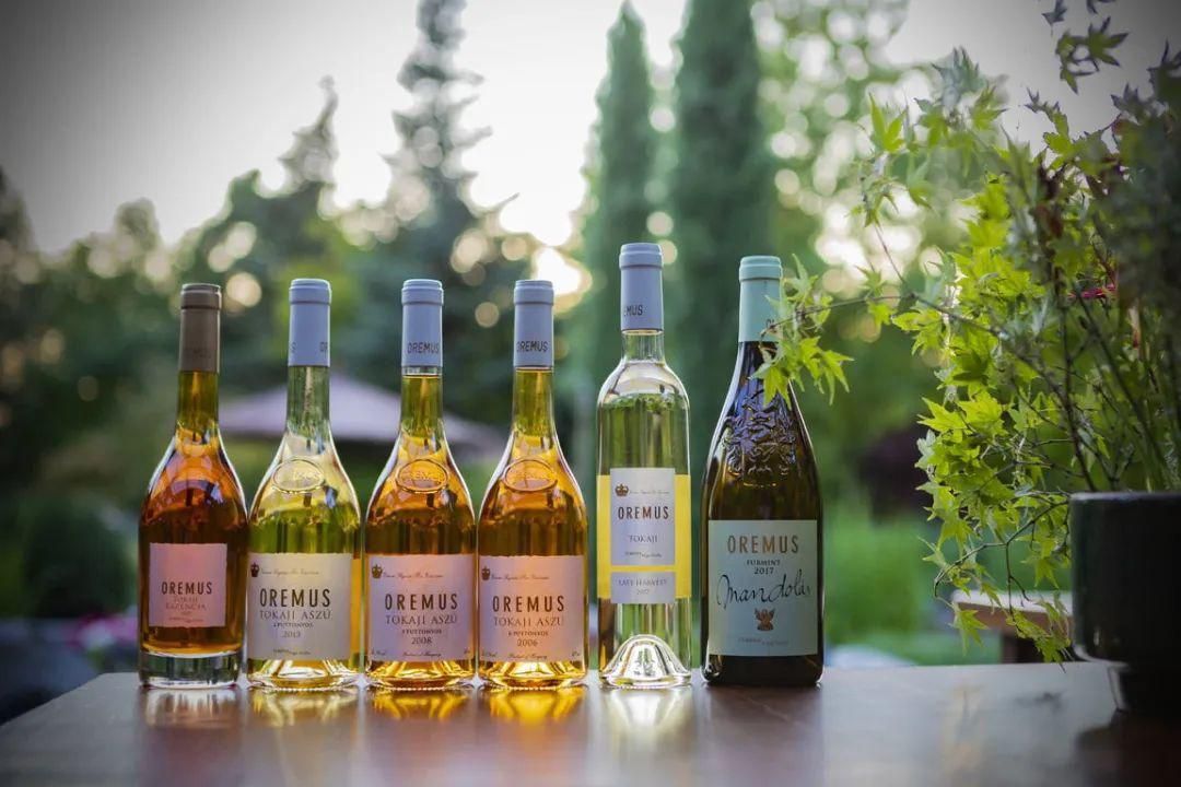 西班牙「酒王」维嘉西雅:能带来快乐和幸福感的酒!「富隆酒业」