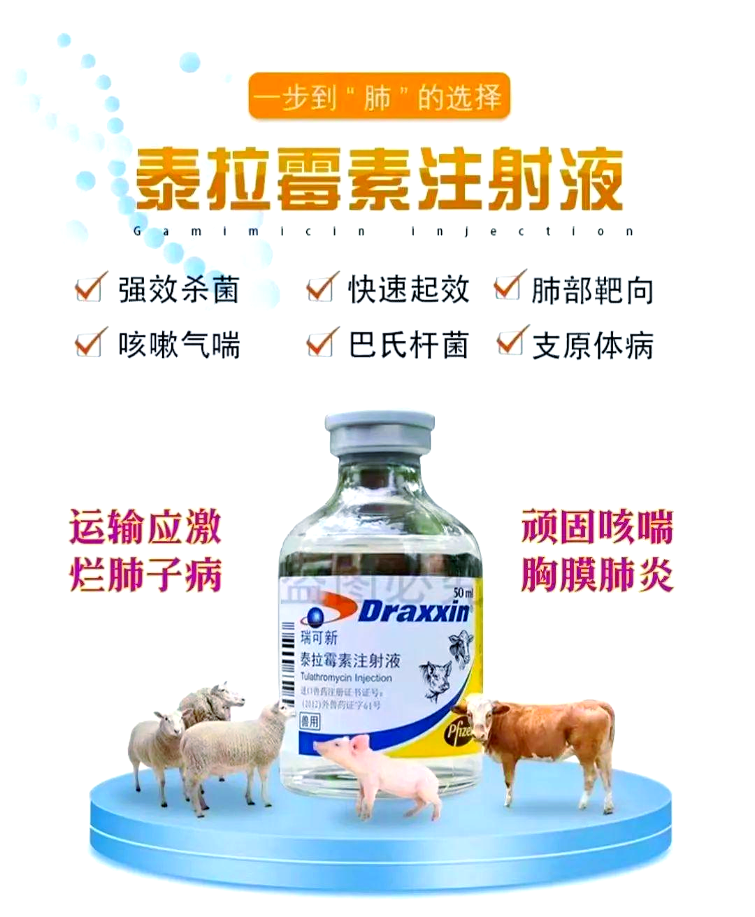 天津瑞普官方网站_天津瑞普官方网站首页 天津瑞普官方网站_天津瑞普官方网站首页