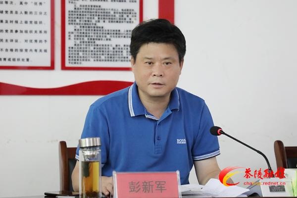 茶陵县委书记彭新军调研云阳山创5a景区工作