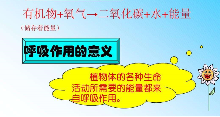 抑制植物呼吸作用的措施有哪些