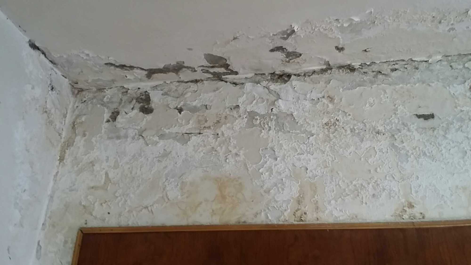 屋顶漏水屋内怎么补修?