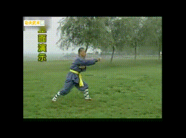 少林连手短打36绝手(5-9式)搏击格斗实战,靠身摔打,连环进攻