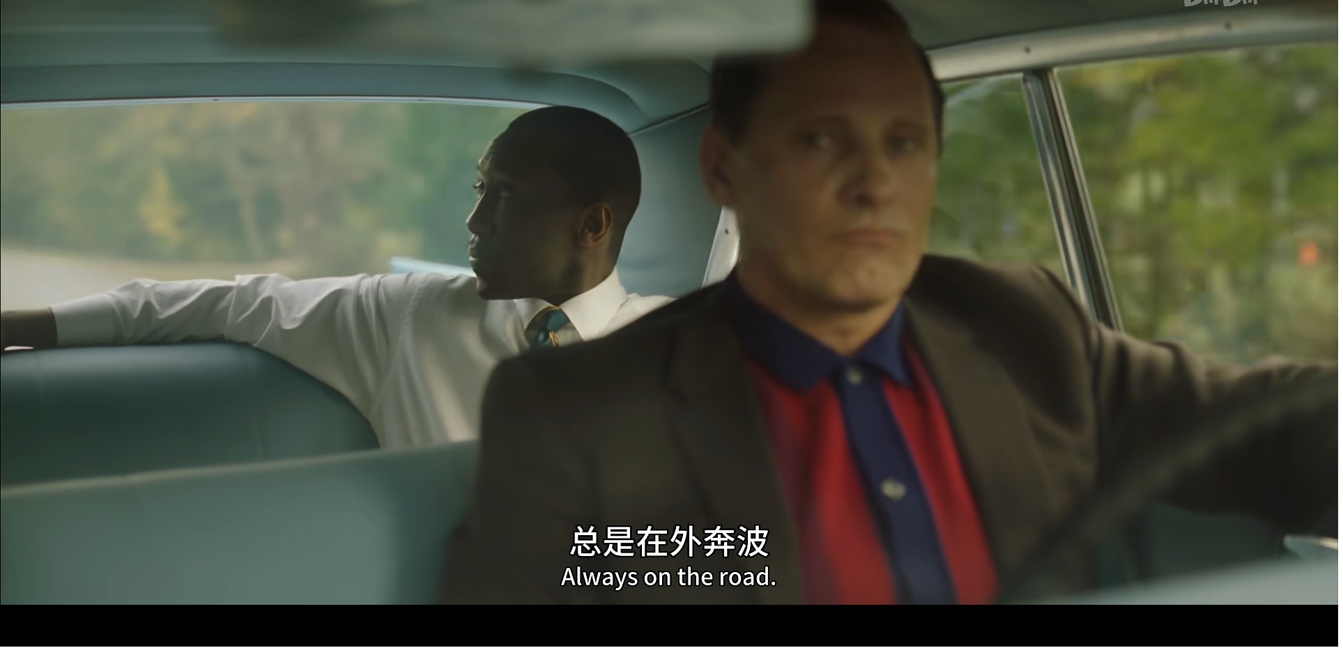 把一个白人变成黑人的是什么电影