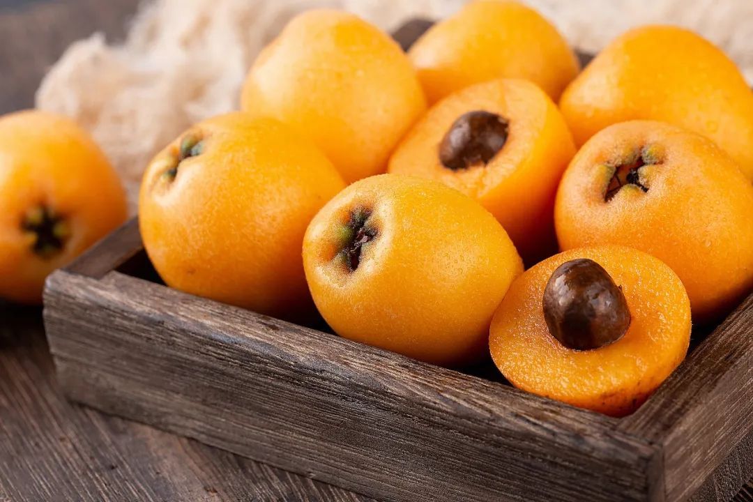 初夏乘兴游开阳,摘尽枇杷一树金