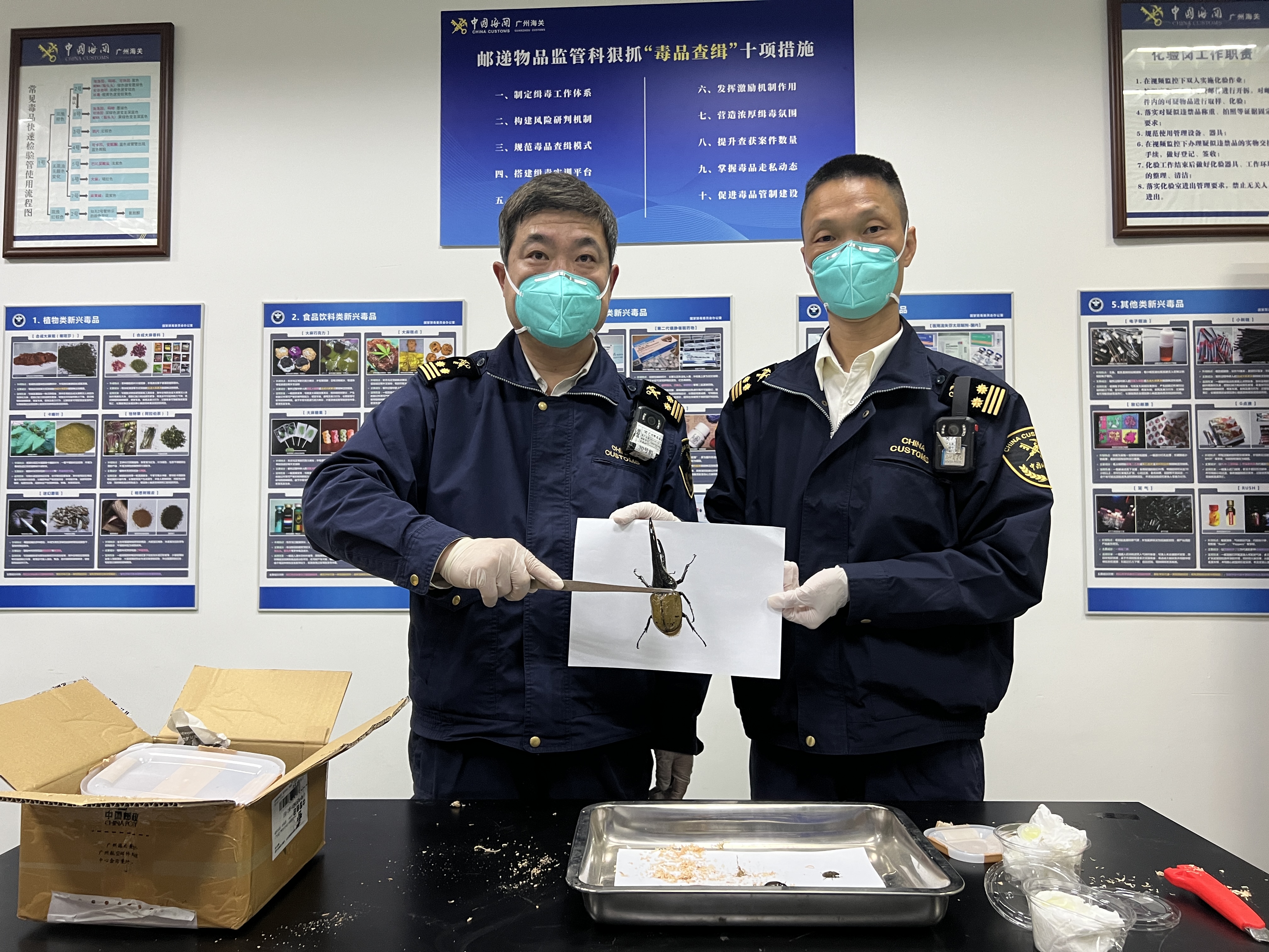 广州海关上半年查获走私"异宠"673只