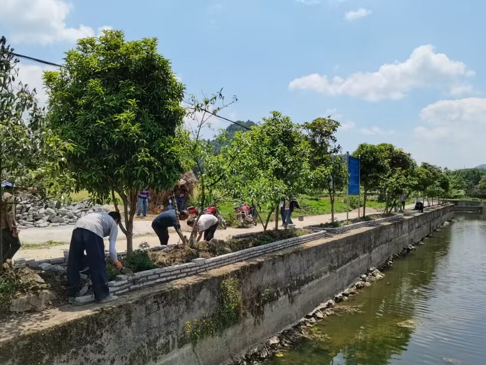 麻江县谷硐镇图片