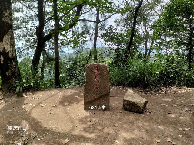 南山野趣篇|春天岭小道(月亮湖-丁家坡)