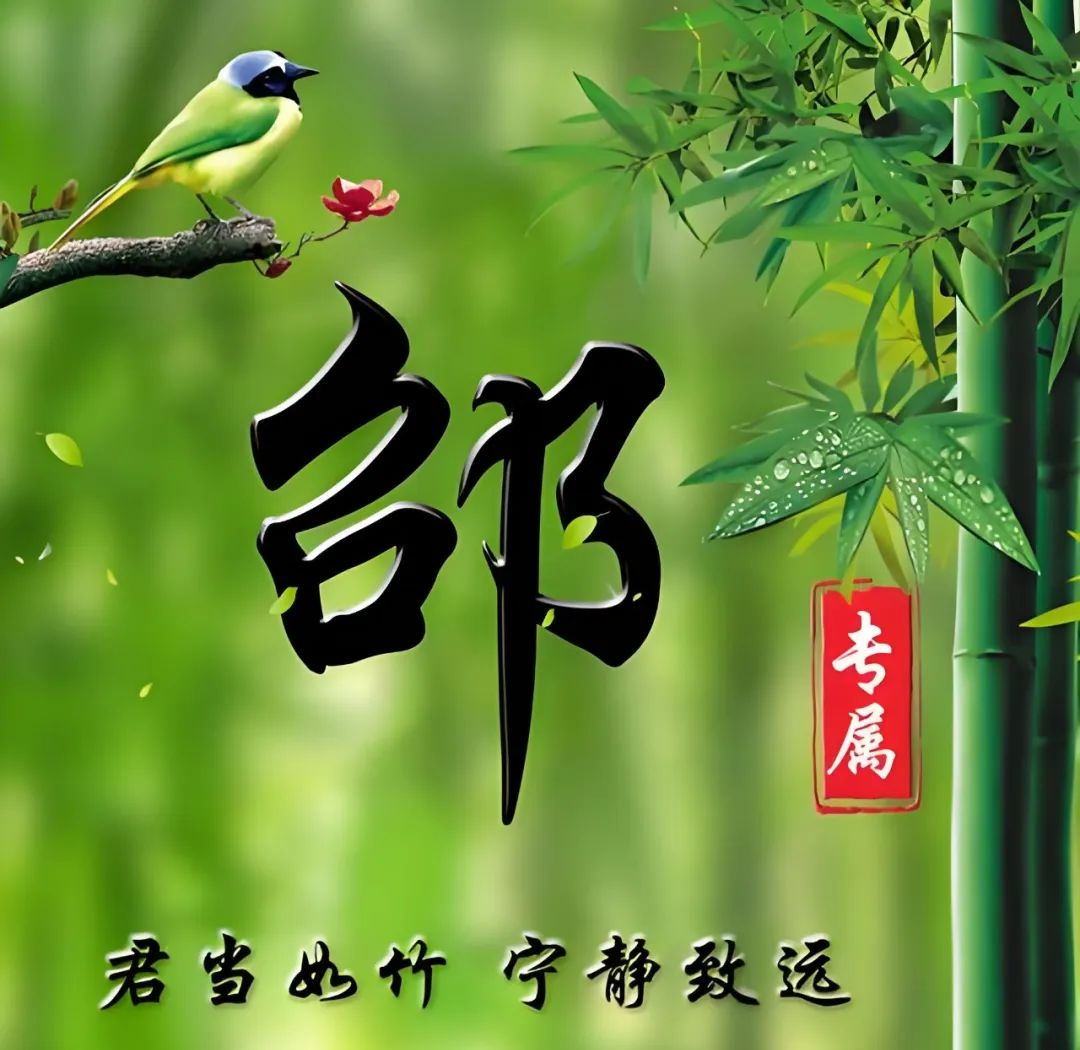 微信头像精选