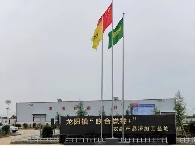 蒲城县龙阳镇做优做强特色产业