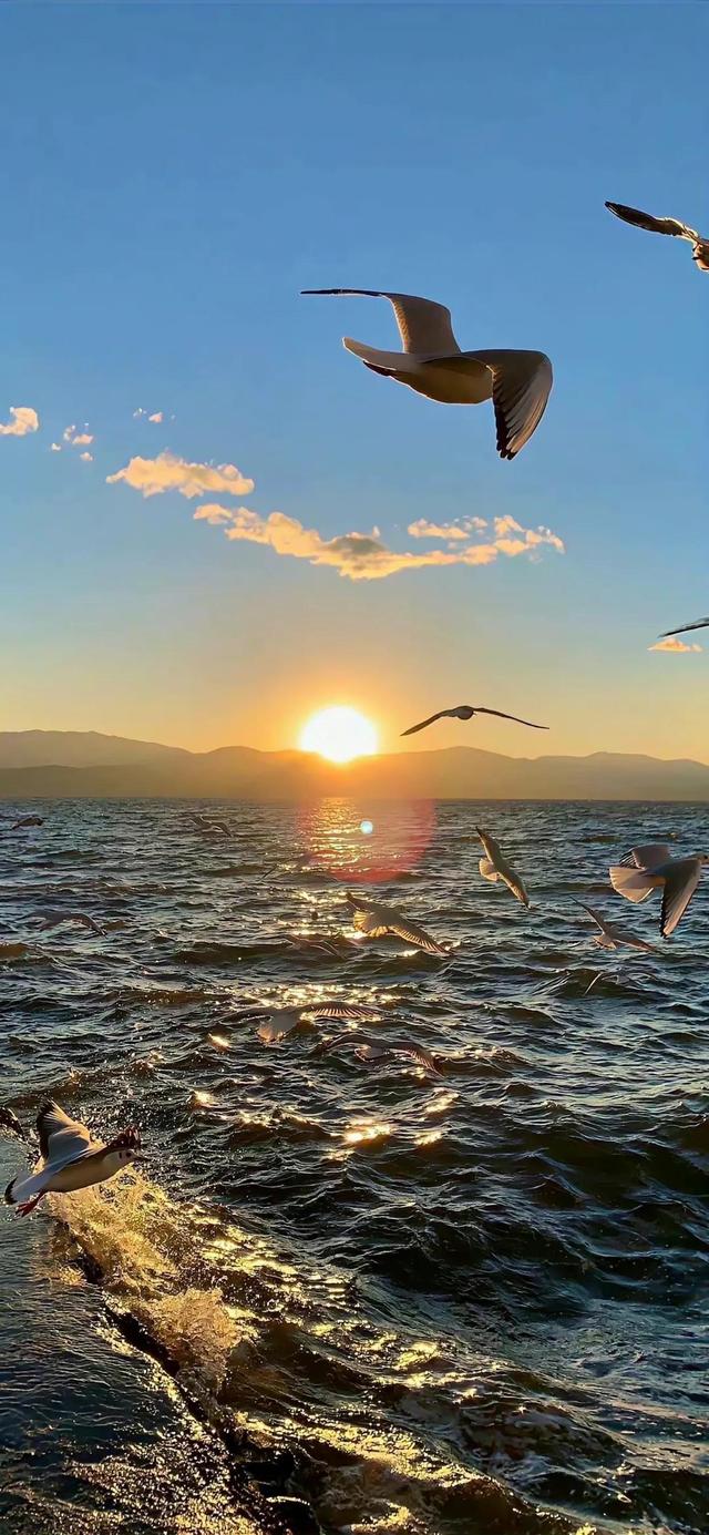 80后男生忠爱的壁纸