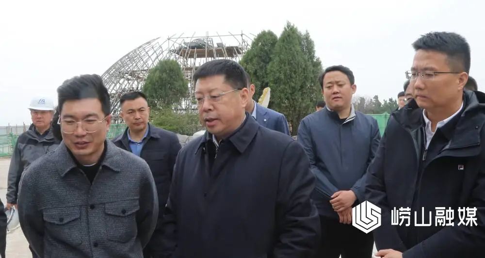 张元升调研重点项目建设情况