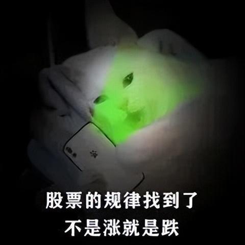 我直接裂開!搞笑表情包