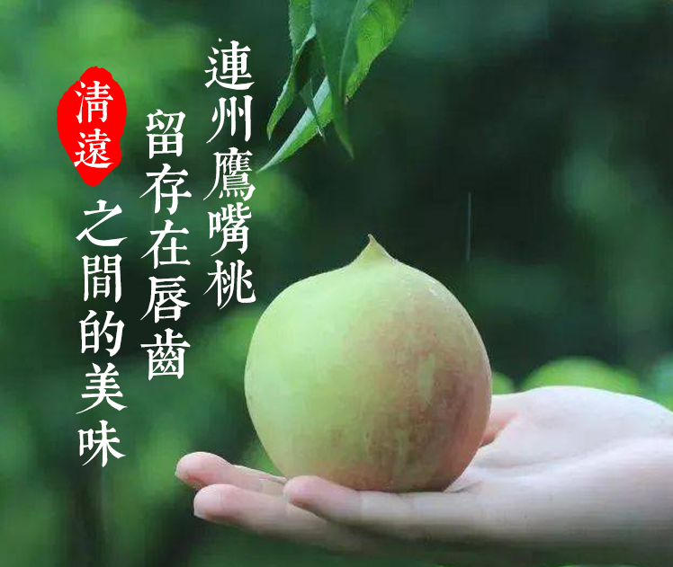 鹰嘴桃 - 热门商品专区