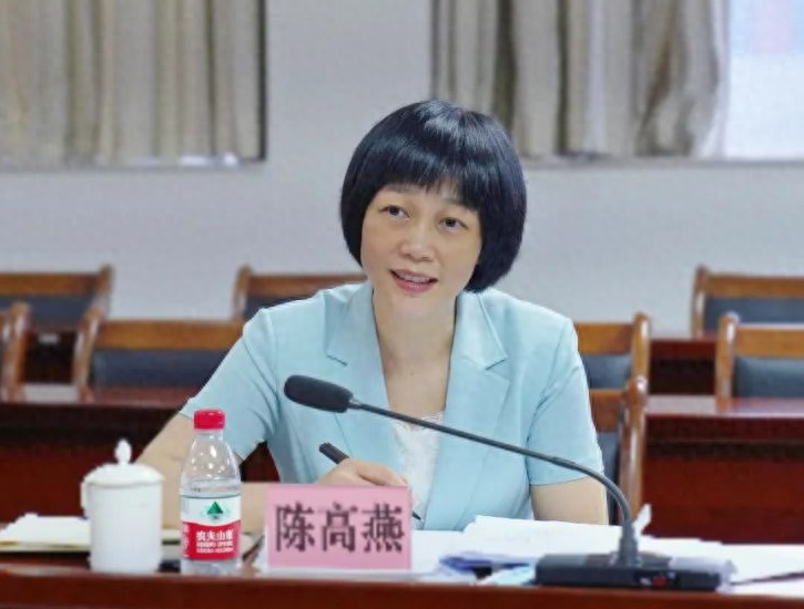 涉嫌严重违法,广东省惠州市人大常委会副主任陈高燕被查