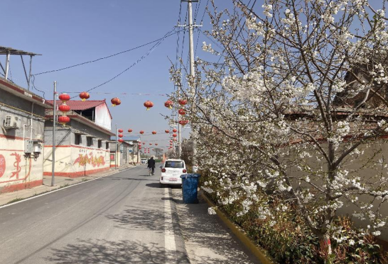 长葛市后河镇:好机制带来乡村美