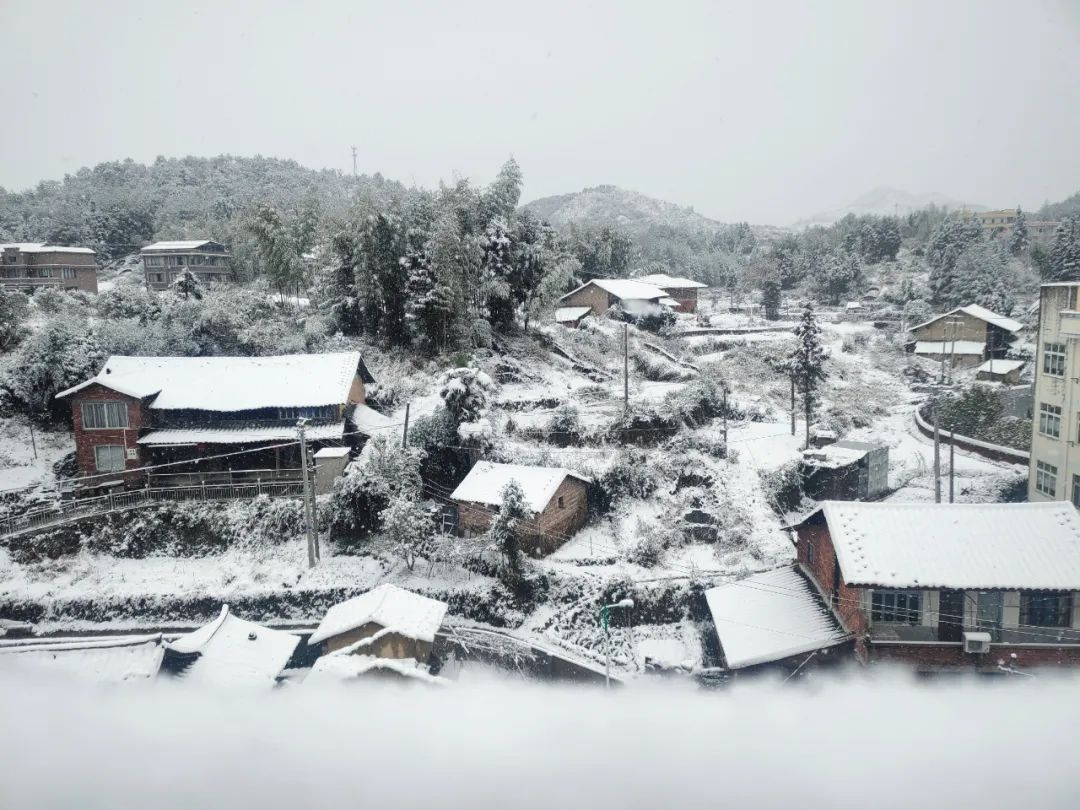 南方的人,什么样的幸运才能连遇两场雪,2022,在泰顺的人也太幸福了