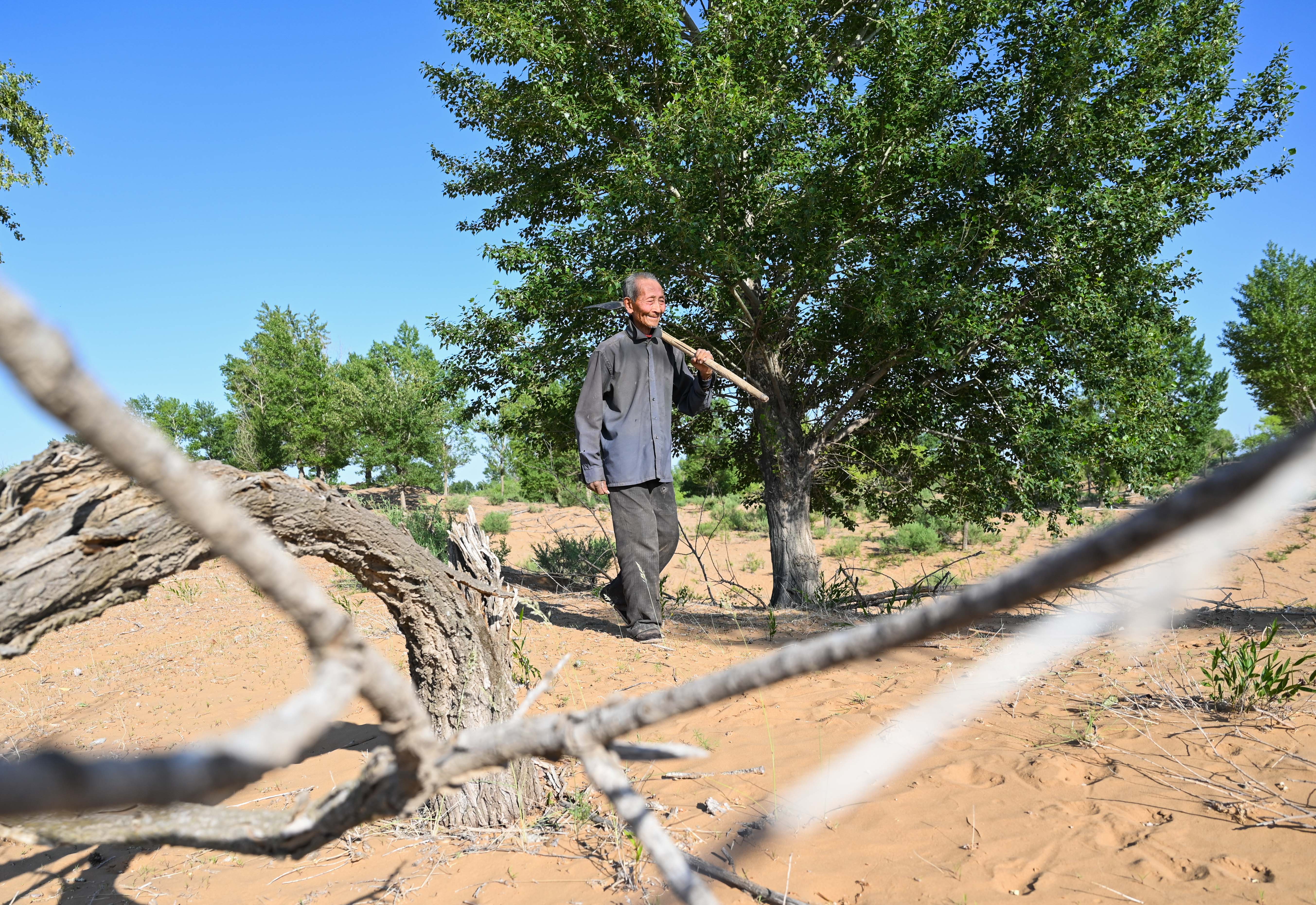 三北防护林里的"老愚公"