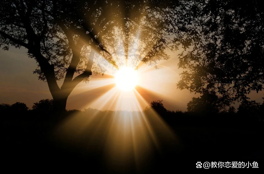 与人交往中,怎么识人?