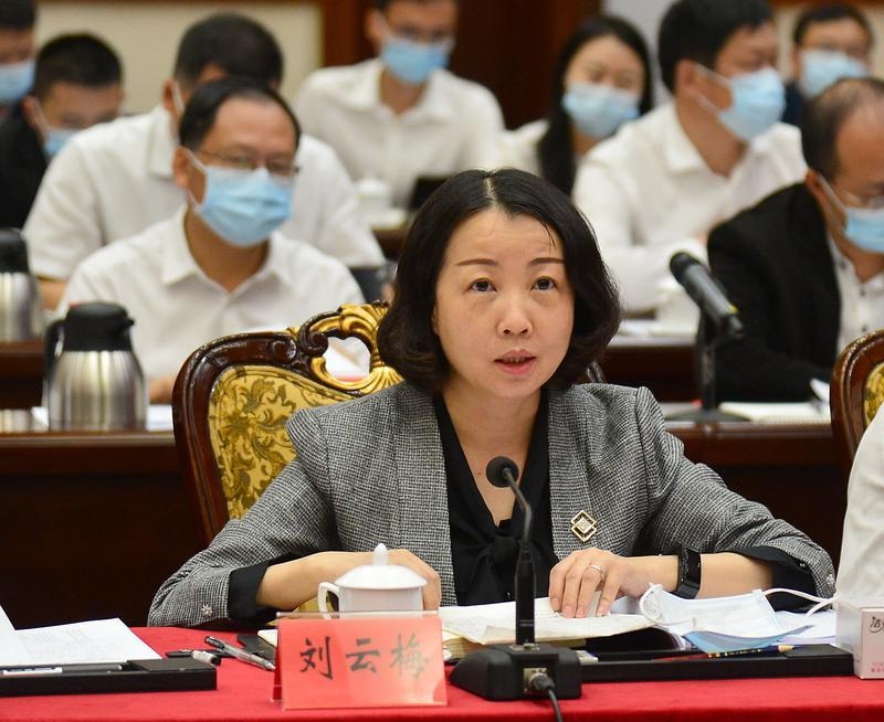 副市长刘云梅:全力推动乡村振兴工作