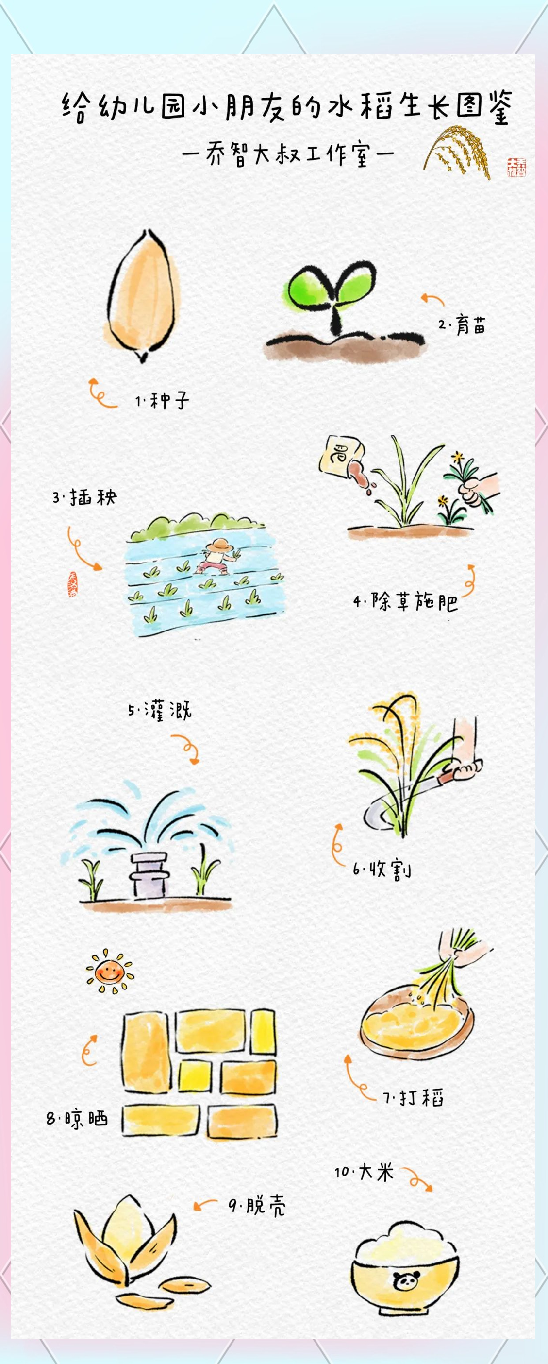 水稻生长全攻略:孩子眼中的世界粮食日