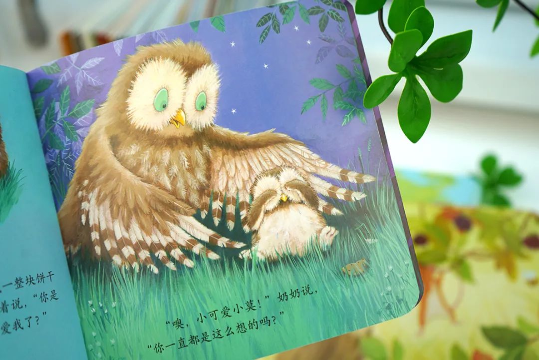 团|《暖房子经典绘本·珍藏精选》第二辑,暖萌画面,精美装帧,35个成长