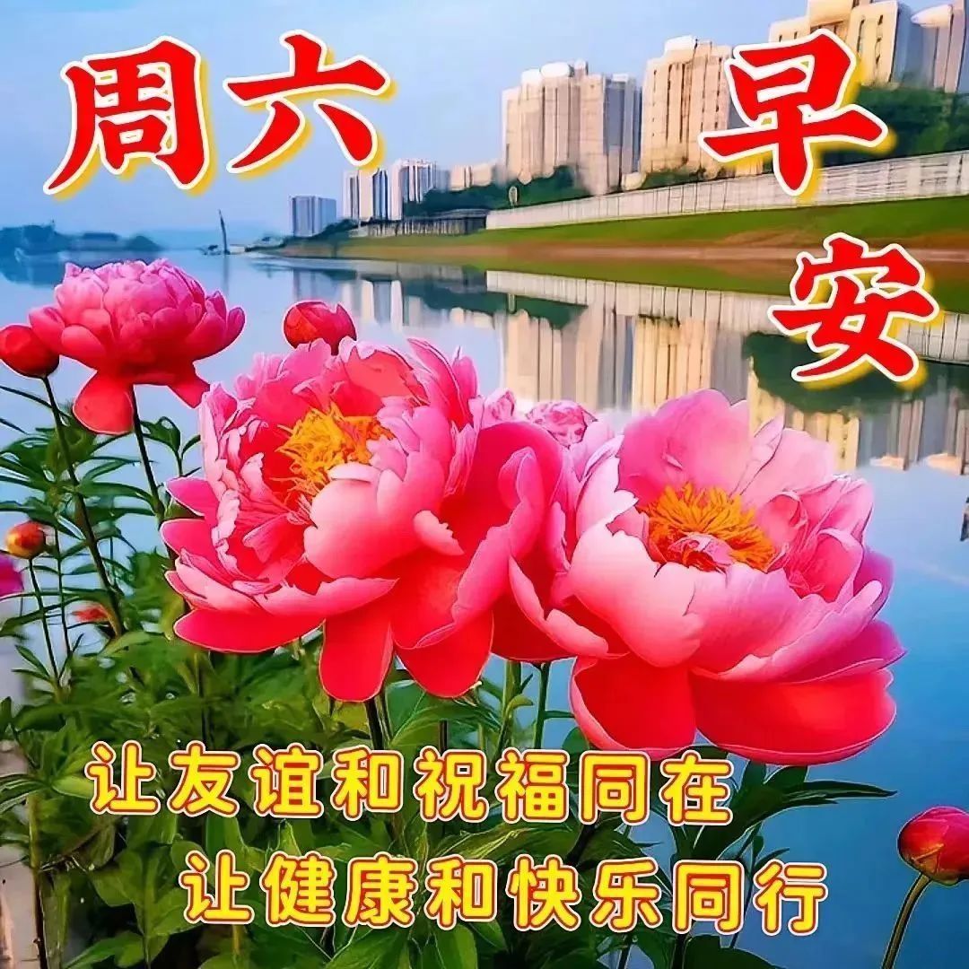 6月3日周六早上好,清晨温馨唯美祝福图片