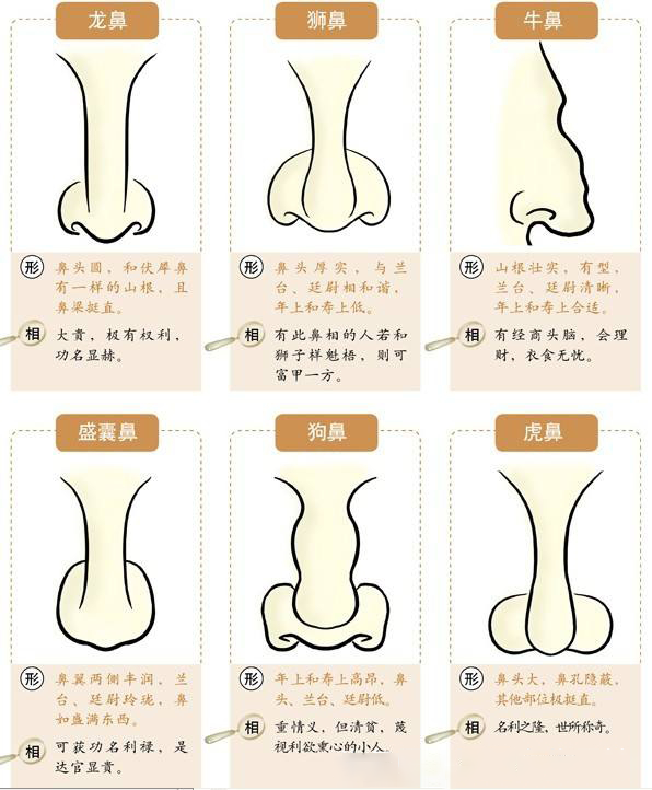 富贵在天,富看鼻,贵看眼,长相和命运有关?面相学准吗?