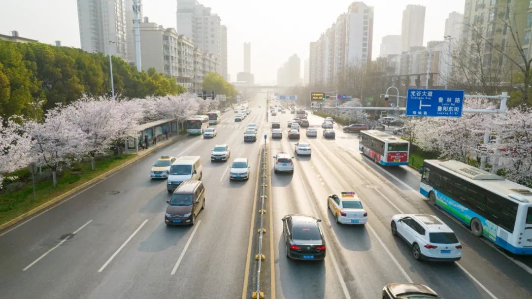 光谷,樱花开了!