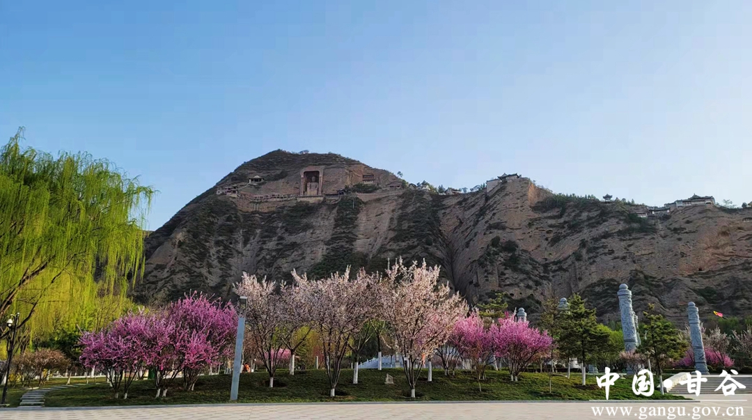 春暖花开季!大像山公园里百花争奇斗艳