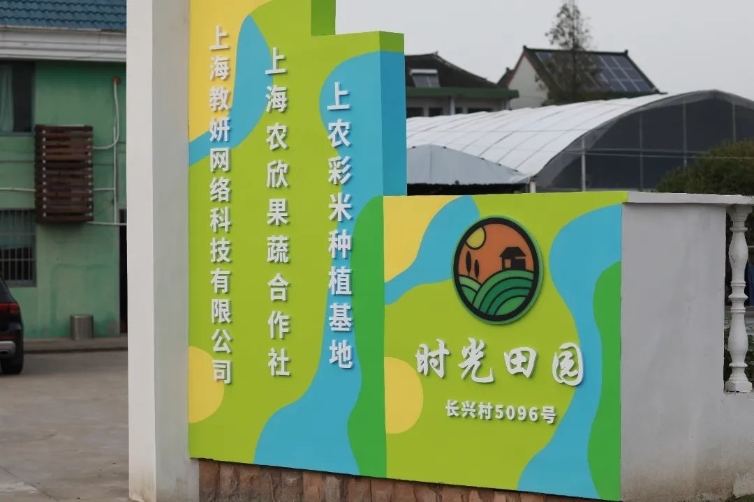 这处用彩色水稻打造的景观,免费开放