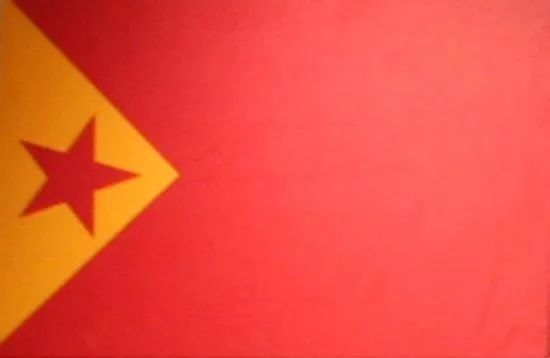 1949年除五星红旗外,还有38面备选国旗!