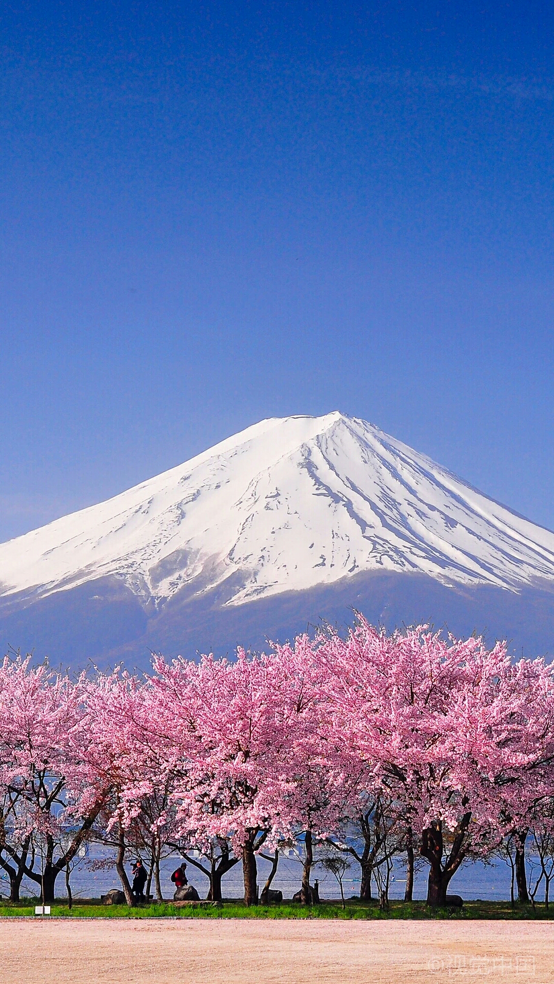 富士山壁纸高清 手机图片