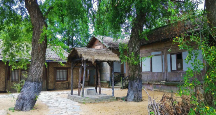 蓬门荜户打—动物