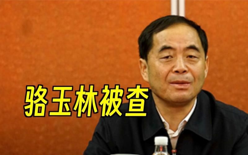 中纪委打下今年第21"虎"——国家开发银行副行长周清玉