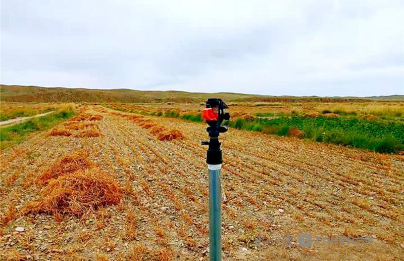 7000多亩山旱地变成水浇地!永登县推进高效节水灌溉项目解决用水难题