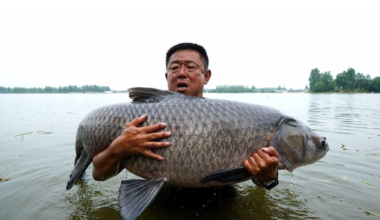 李大毛:钓鱼界的第一游钓达人,手竿擒获150斤巨青一战成名