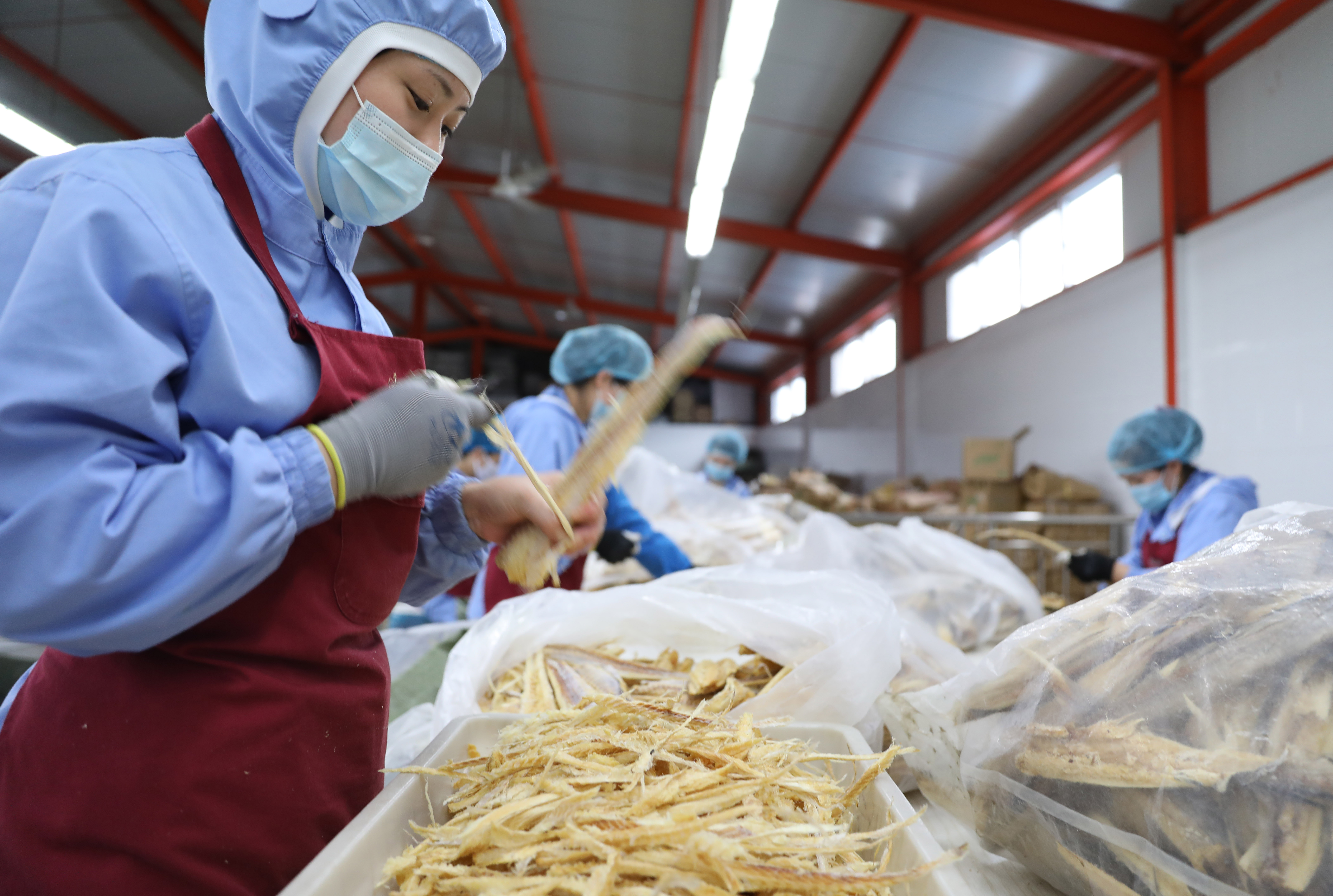 辽宁东港:鱼产品加工生产平稳