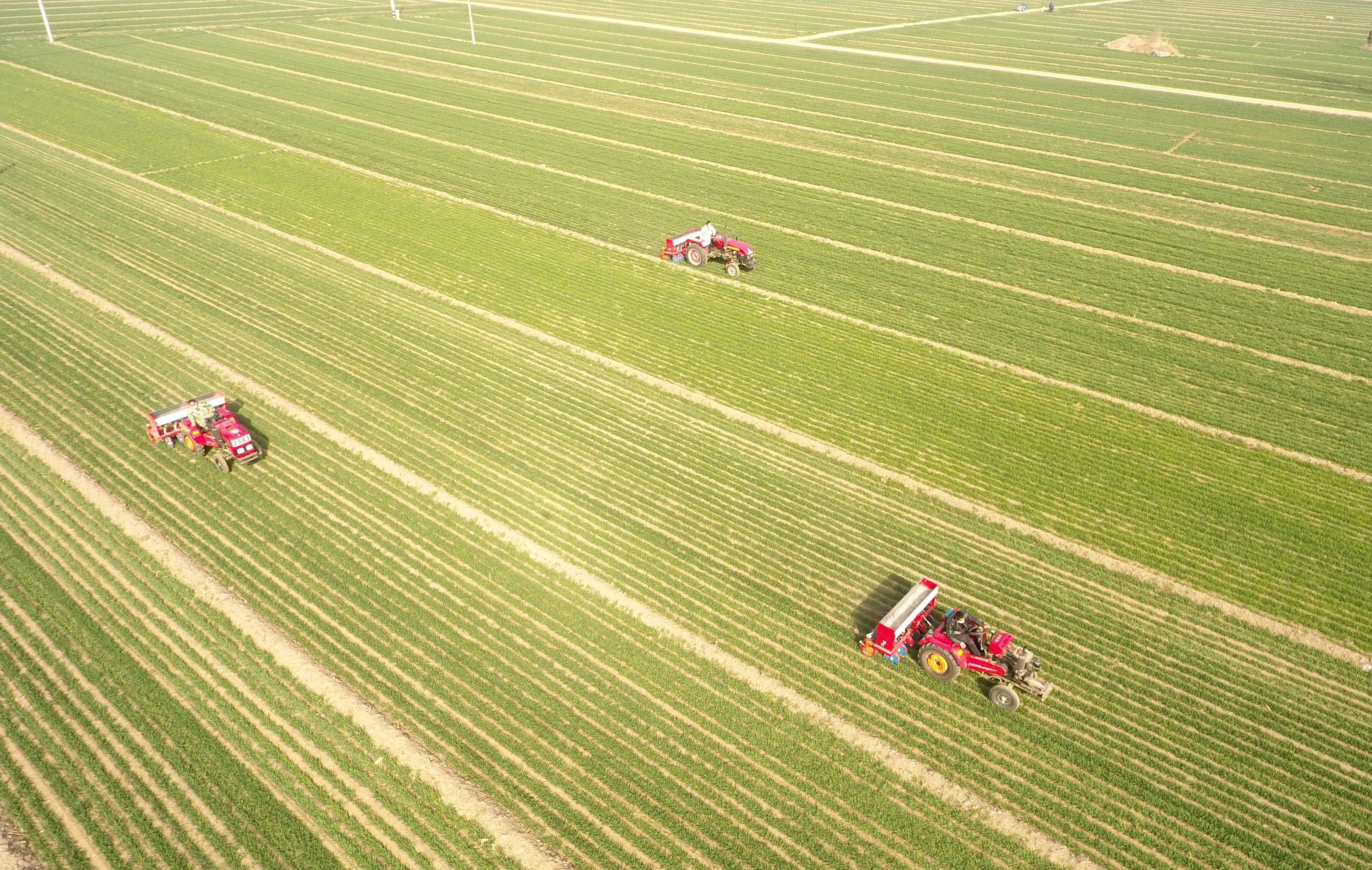 (社会)耕种在希望的田野上