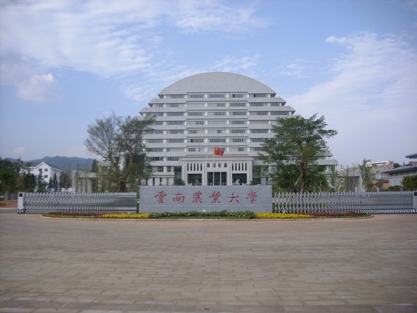 云南农业大学成人高考专升本录取分数线2024年