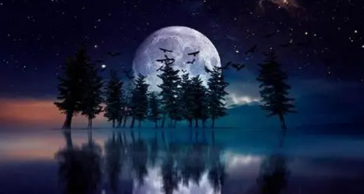 照明月我本将心照明月奈何明月照沟渠是什么诗句