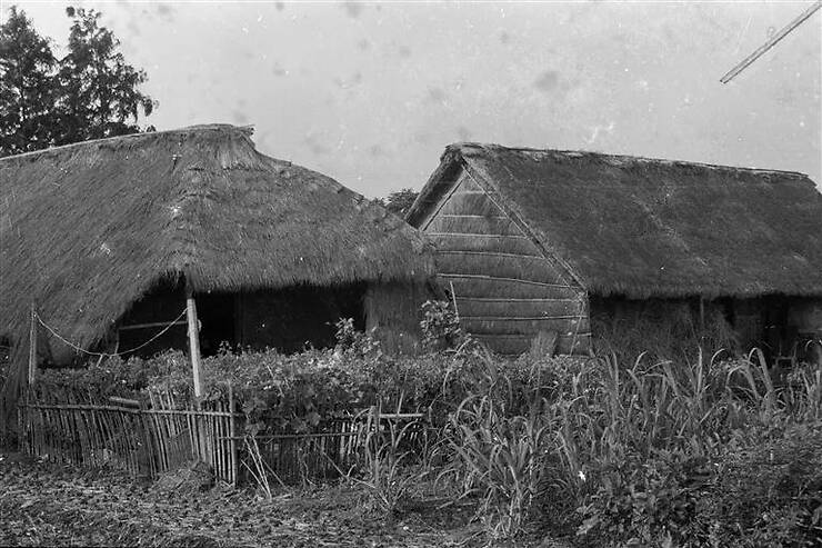 70年代茅草屋图片