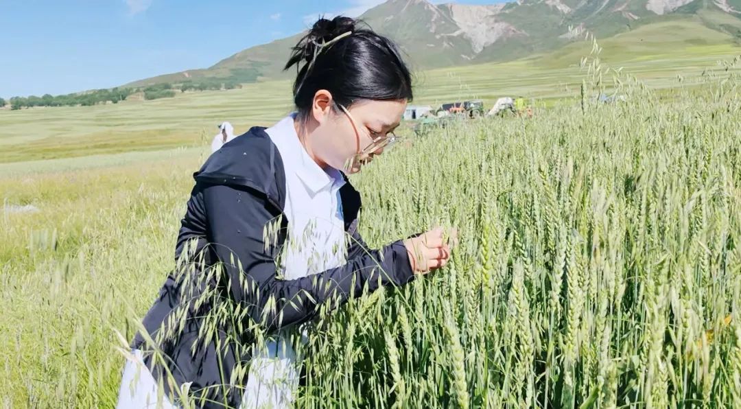 我校20232024年度陕西省大学生自强之星拟推荐人选及科创团队风采展示